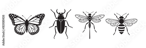 Illustration of four insects including a butterfly beetle wasp and bee in black and white style