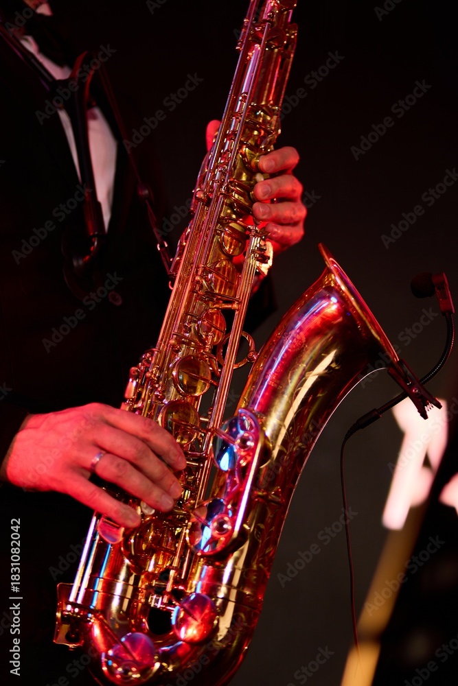Obraz premium Close-Up of Jazz Musician with Saxophone