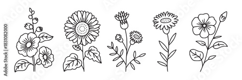 Five different types of flowers with leaves in a simple black and white outline drawing style art