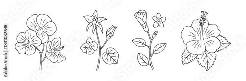 Illustration of four different types of flowers in black and white outline style on a white background