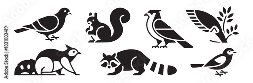 Graphic illustrations of various animals including birds squirrels and a raccoon in black and white