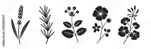 Five different black and white floral silhouettes arranged in a horizontal line on a white background