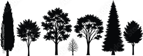 Silhouettes of Diverse Tree Species in Row Displaying Unique Shapes, Foliage Patterns, and Natural Forms on White Background
