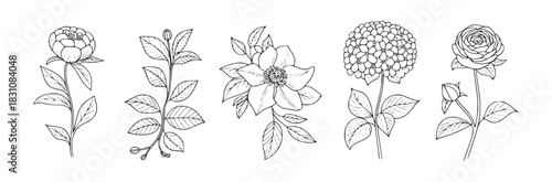 A collection of five different flower illustrations in black and white line art on a white background