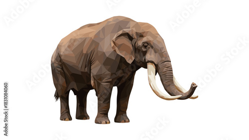 Geometric low poly elephant on white background