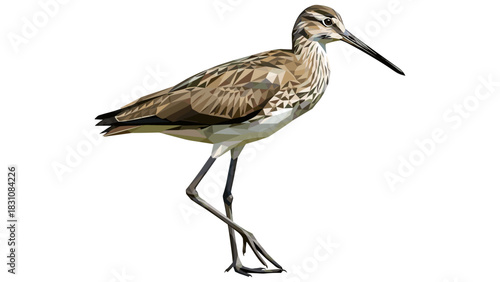 Geometric low polygon bird design on white background