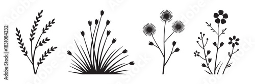 Four black and white floral designs featuring different types of plants and flower silhouettes art