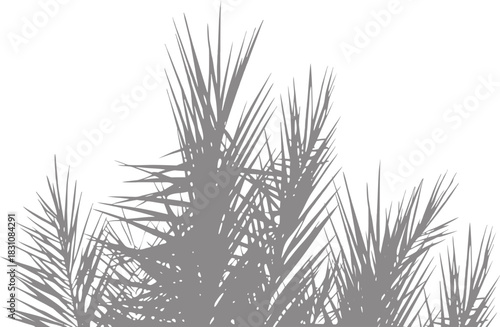 Minimal palm leaf silhouette forms a clean tropical design. Sharp botanical shapes create a stylish modern illustration. Elegant nature graphic perfect for decorative artwork.