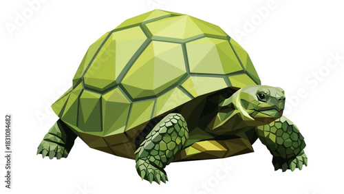 Geometric polygonal tortoise design in low poly style