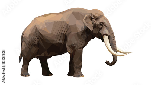 Polygonal elephant in low poly art style on white background