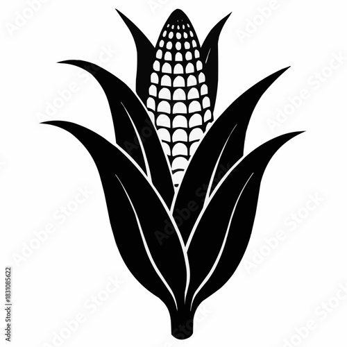 ear of corn