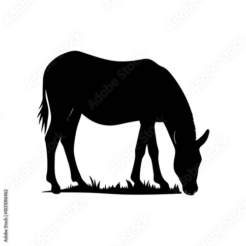 Silhouette of a donkey grazing on grass, head down, isolated on a white background.