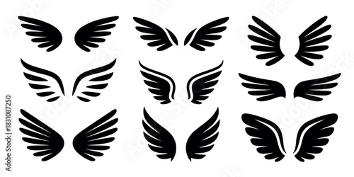 A collection of nine different black and white wing illustrations on white background
