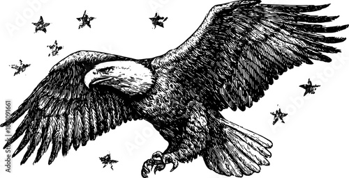 Eagle with wings spread flying among stars. Detailed black ink sketch bird, animal, and nature vector illustration in monochrome style.