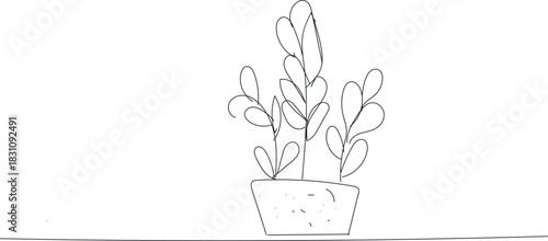  Simple black and white line drawing illustration of a succulent houseplant growing in a small pot