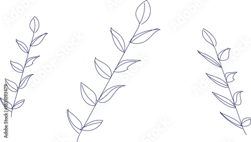  Minimalist delicate blue line art drawing of three simple botanical sprigs with leaves for design