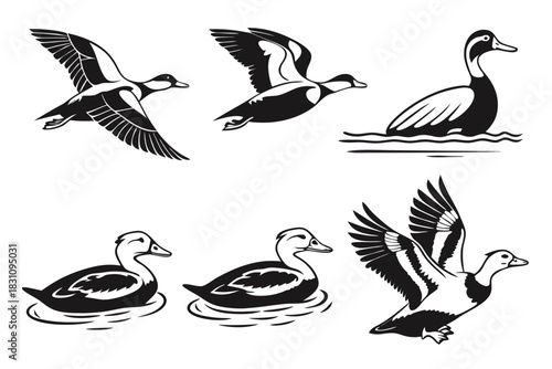 Minimalist eider duck icon set with black and yellow accents