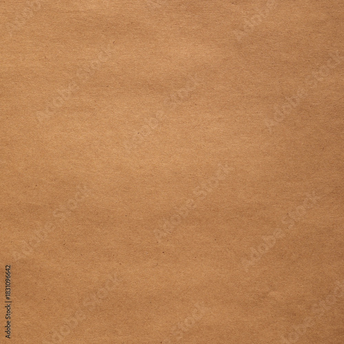 Wallpaper Mural Square brown kraft paper with grans and fiber specks Torontodigital.ca