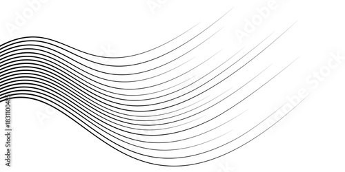 Abstract Flowing Speed Lines Element. Dynamic Wavy Motion Background Graphic with Thin Grayscale Curve Strokes