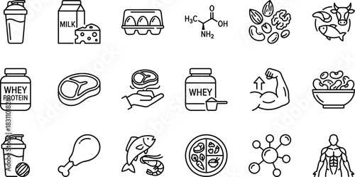 Protein Sources and Bodybuilding Nutrition Outline Icon Set, Featuring Whey Supplements, Meat, Fish, Nuts, Dairy, and Amino Acid Structure, Vector Editable Stroke
