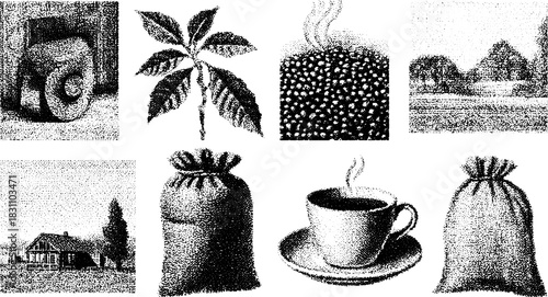 Coffee bean plant and cup set in a black and white vector illustration. Features a rustic home and rural landscape in the background.