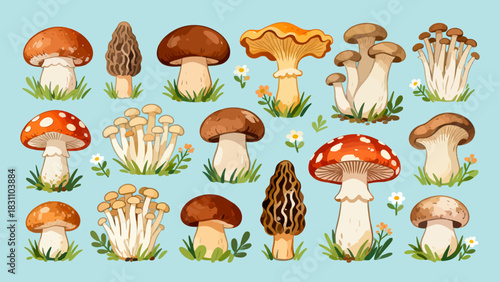 This vibrant illustration displays a diverse collection of colorful mushrooms (including spotty, chanterelle, and morel varieties) in various sizes and hues