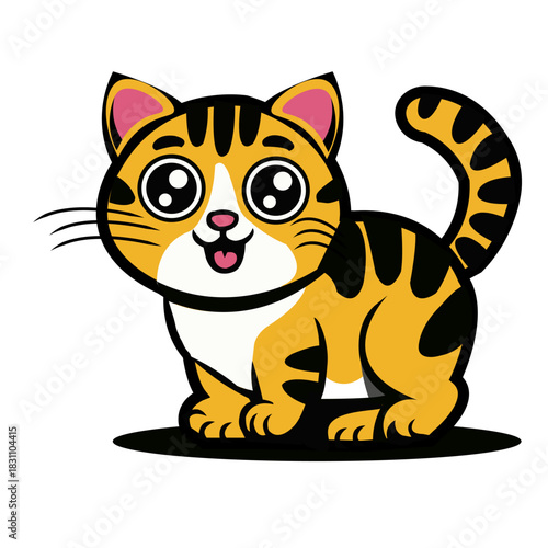 A beautiful cat is looking for friends