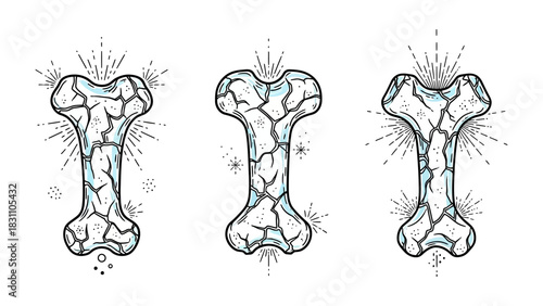 Skeletal Artistry: Artistic renditions of bones, meticulously drawn with intricate detail. A striking depiction, showcasing skeletal anatomy with a touch of creative flair.