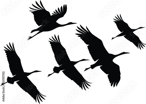 Silhouette of a flock of cranes flying in formation against a white background