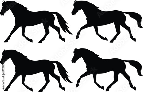 Four silhouettes of horses in motion on a white background