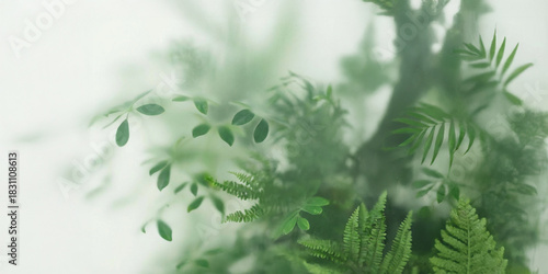 Green ferns and tropical foliage visible through frosted misty glass with soft ethereal bokeh, botanical background