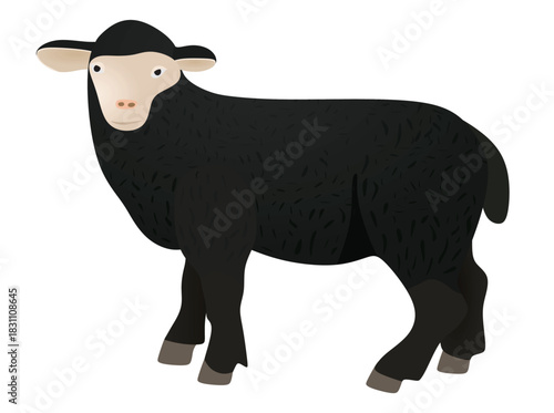 Black sheep isolated. vector illustration	
