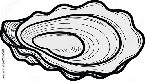 Oyster shell marine mollusk seafood drawing illustration