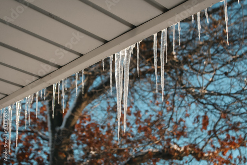 Icicles hanging from the eaves of a roof caused from melting snow or ice refreezing as it drips. Holiday season background with copy space and a beautiful oak tree in the distance.