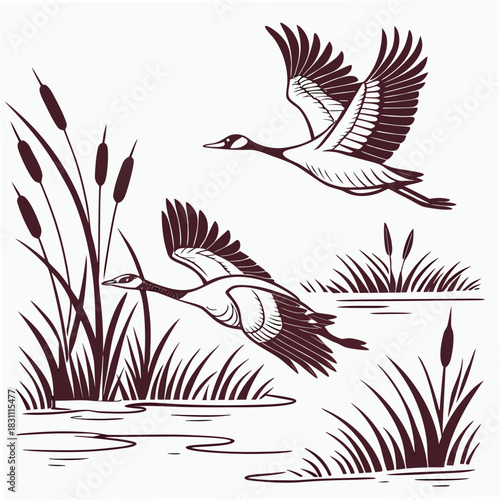Two canada geese flying over cattails and reeds in a marshy wetland scene