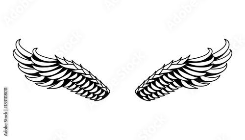 Wings sketch. Stylized birds wings. Hand drawn contoured stiker wing in open position. Vector design elements in coloring style