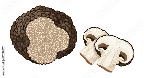 A vibrant illustration depicts a whole black truffle, cut to reveal its distinctive interior, paired with two fresh, thinly sliced white button mushrooms.