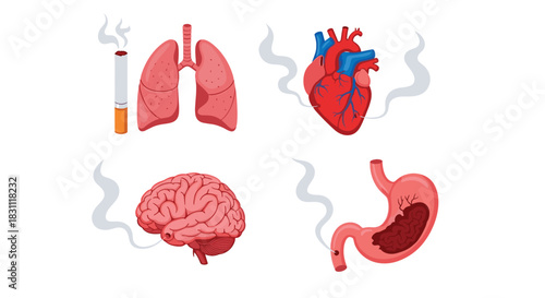 An illustration depicting the harmful effects of smoking on various human organs, including the lungs, heart, brain, and stomach, highlighting severe health risks.