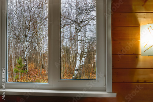 A beautiful view from the window of a wooden house onto a birch grove. Autumn view from the window. A burning lamp on a wooden wall.
