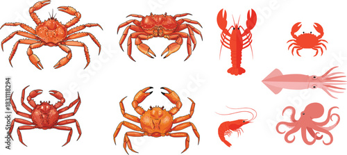 Seafood and Marine Life Vector Illustration Set Featuring Different Crab Species, Lobster, Shrimp, Squid, and Octopus, Ideal for Restaurant Menus or Ocean Themes