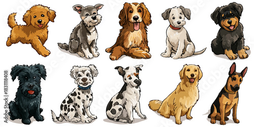 Collection of  dog breeds posed sitting and standing against a white background