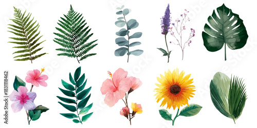 Collection of watercolor botanical illustrations featuring ferns flowers and tropical leaves