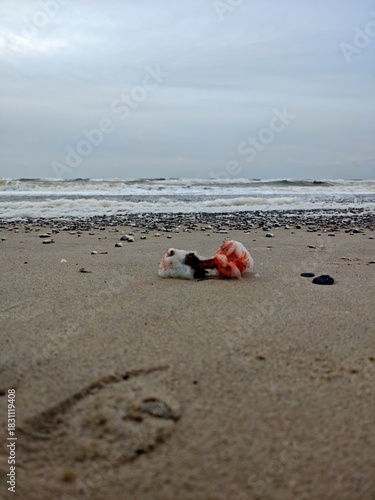 Müll am Nordseestrand