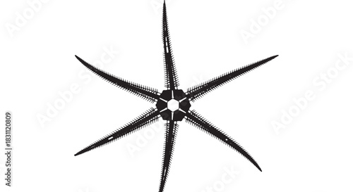 Abstract black starburst graphic with five pointed spokes and a central knot design, balanced radial symmetry.