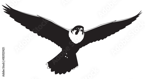 Silhouette of a soaring eagle in flight with outstretched wings and contrasting black and white tones.