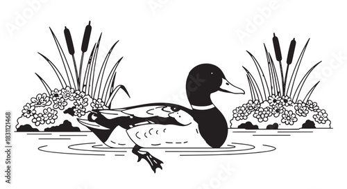 Black and white illustration of a duck swimming on a calm pond with reeds and reflections.