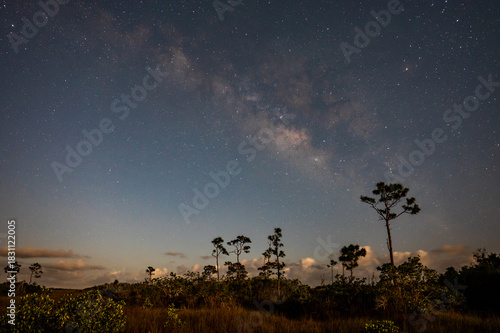 Milky Way over pinelands and sawgrass prairie of Everglades National Park, Florida illuminated by bright three quarter moon.