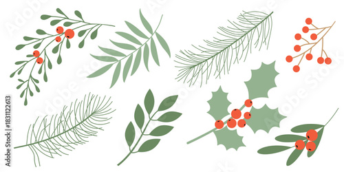 Winter botanical vector illustration with green branches and berries. Design for greeting cards, packaging, fabric, and scrapbooking.