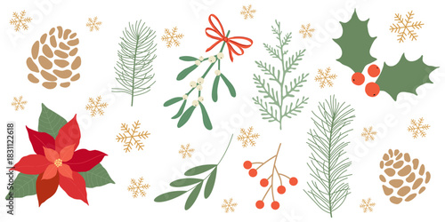 Winter botanical vector illustration with green branches and berries, pine cones, mistletoe, and poinsettia. Design for greeting cards, packaging, fabric, and scrapbooking.