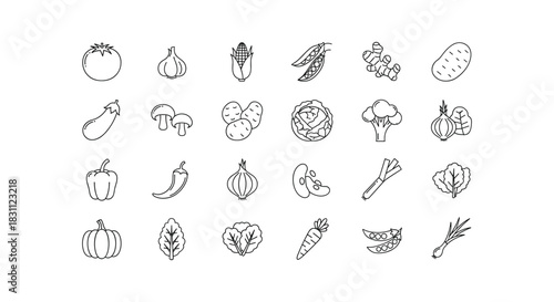 Vegetable line art vector icon set illustration healthy fresh organic food design concept collection